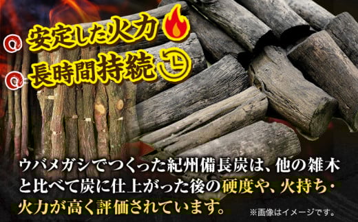 和歌山県日高川町のふるさと納税 紀州備長炭 荒並 約5kg 望商店 《30日以内に出荷予定(土日祝除く)》 和歌山県 日高川町 備長炭 紀州備長炭 炭 約5kg 高級白炭 BBQ 焼肉 炭火焼き キャンプ レジャー 囲炉裏 国産 備長炭 川遊び ロッジ 行楽 安全 安心 火起こし 大活躍