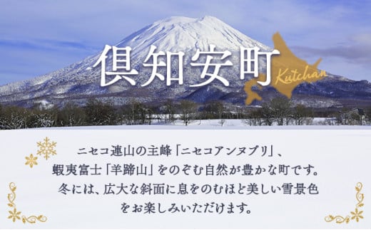 北海道倶知安町 日本旅行 地域限定旅行クーポン30,000円分 ツアー 宿泊 旅行 交通 5年 トラベル 宿泊券 チケット スキー スノボ 旅行券  観光 北海道 旅行 ニセコ 倶知安町 - 北海道倶知安町｜ふるさとチョイス - ふるさと納税サイト