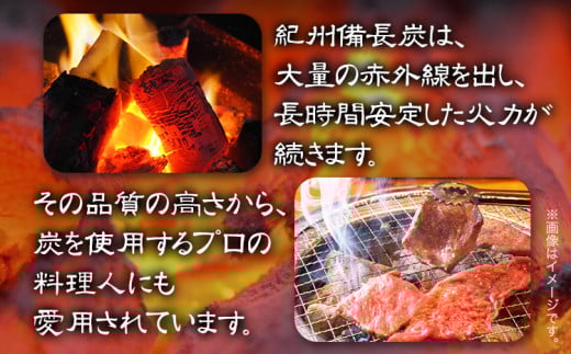 和歌山県日高川町のふるさと納税 紀州備長炭 荒並 約5kg 望商店 《30日以内に出荷予定(土日祝除く)》 和歌山県 日高川町 備長炭 紀州備長炭 炭 約5kg 高級白炭 BBQ 焼肉 炭火焼き キャンプ レジャー 囲炉裏 国産 備長炭 川遊び ロッジ 行楽 安全 安心 火起こし 大活躍