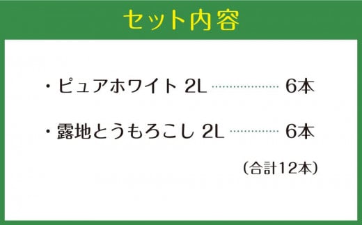 北海道旭川市のふるさと納税 【先行予約】北海道産ピュアホワイト・露地とうもろこし　計12本 2025年8月下旬から発送開始予定 【 白いとうもろこし 人気 北海道産 糖度 生 野菜 スイートコーン 産地直送 バーベキュー BBQ コーン 旬 お取り寄せ 旭川市 北海道 送料無料 】_00113