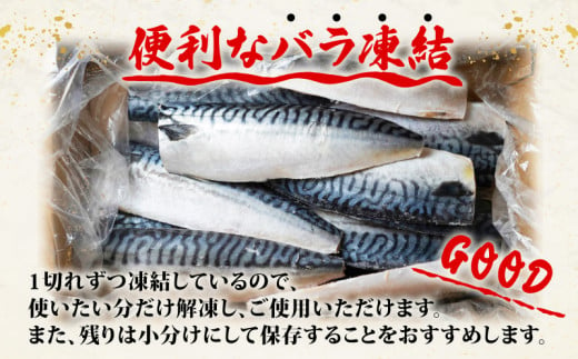 訳あり 塩さば フィレ 約3.6kg 塩サバ 塩さば 塩鯖 サバ さば 鯖 訳あり 訳アリ 訳有 切身 切り身 フィーレ 冷凍 ふるさと納税  11000 ふるさと納税 ふるさと納税 送料無料 千葉県 銚子市 辻野 贈答 贈物 ギフト - 千葉県銚子市｜ふるさとチョイス - ふるさと納税サイト