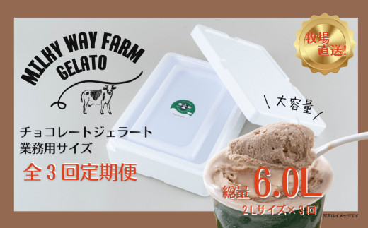 F185《定期便》山中牧場「MILKY WAY FARM」ジェラート 業務用(２L)サイズ〈チョコレート〉【３回お届け】