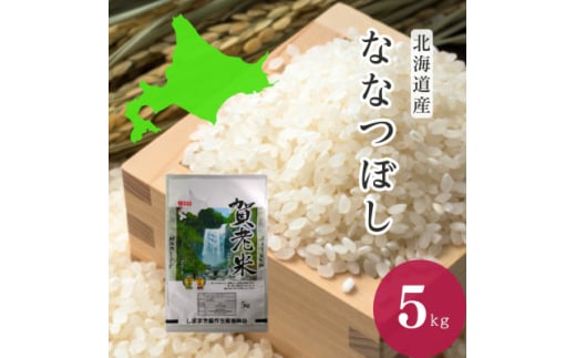 令和6年産ななつぼし 精米5kg【1569561】 1564934 - 北海道島牧村