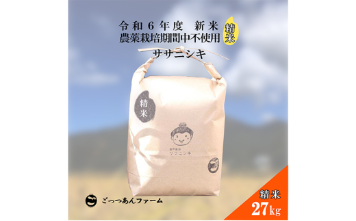 令和6年度産 新米 【どすこい米】自然栽培 ササニシキ 精米 27kg [№5771-1379]