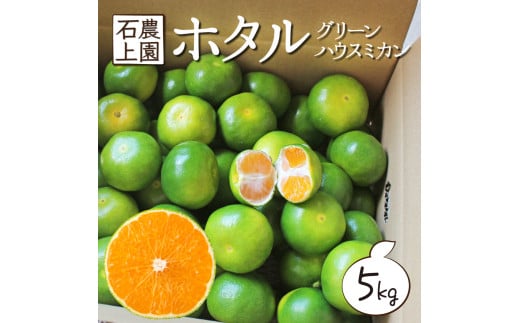 AF-A1 ＜先行予約＞串間市都井「石上農園」自慢のホタル グリーンハウスミカン 5kg（約60個）【石上農園】 230586 - 宮崎県串間市