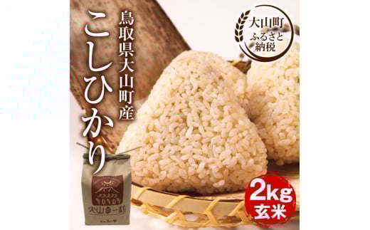 【令和7年10月以降発送新米】MS-105 大山町産こしひかり【大山の一粒】2kg(玄米) 1557804 - 鳥取県大山町