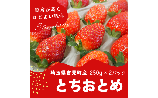 特選「吉見いちご」【とちおとめ】 253818 - 埼玉県吉見町
