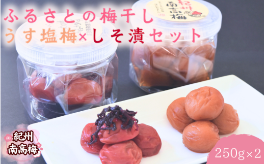 【紀州南高梅】ふるさとの梅干し うす塩梅×しそ漬セット 250g×2 / 和歌山 田辺 紀州 南高梅 お試し 試食 初めて 味見 特選 国産 おにぎり お弁当 二種 500g  免疫 塩分補給 【nmn002】 1556106 - 和歌山県田辺市