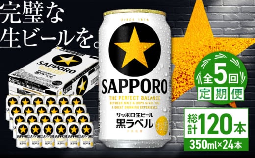 【全5回定期便】サッポロ生ビール 黒ラベル 350ml×24缶　合計120缶 日田市 / 株式会社綾部商店 [ARDC070] 1555649 - 大分県日田市