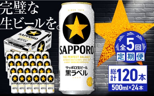 【全5回定期便】サッポロ生ビール 黒ラベル 500ml×24缶　合計120缶 日田市 / 株式会社綾部商店 [ARDC079] 1555658 - 大分県日田市