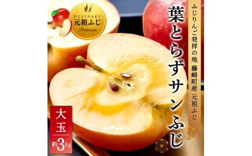 [先行受付] 葉とらずサンふじ 大玉 約3kg(6～8玉) ご家庭用りんご 青森県産リンゴ 青森林檎【1102373】 1265214 - 青森県藤崎町