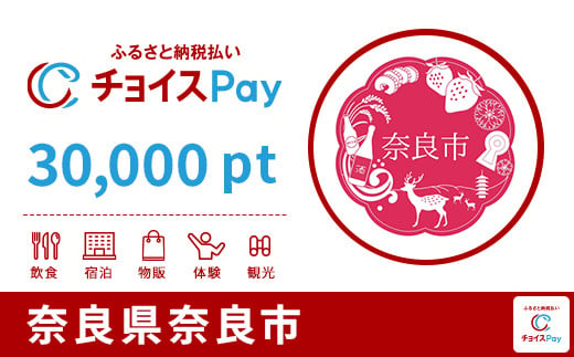 奈良市チョイスPay 30,000pt | Vふるさと納税