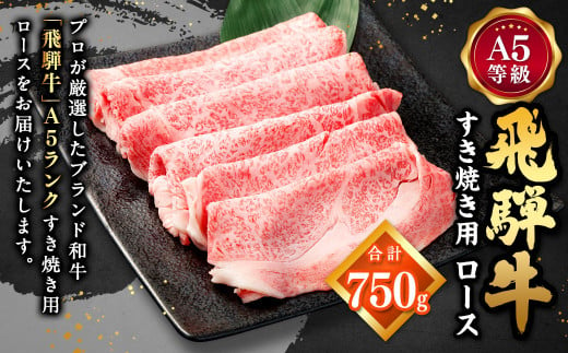 飛騨牛 A5 等級 すき焼き 用（ ロース 750g） | 肉のかた山 牛肉 727515 - 岐阜県美濃加茂市