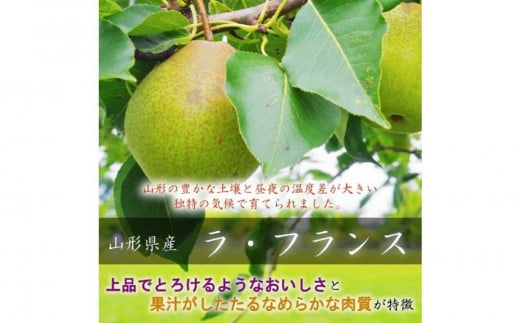 令和7年産先行受付 中山町産高糖度「ラ・フランス」2kg　特秀品　5～8玉