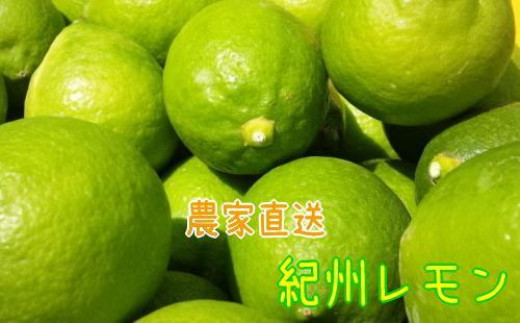 農家直送 紀州 レモン 約2kg【MS94】 1555891 - 和歌山県和歌山市