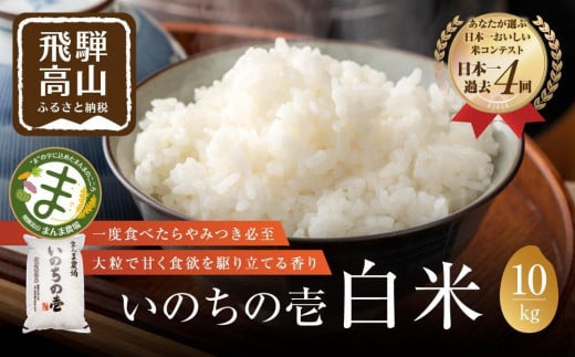 【12月配送】【令和6年度産 新米】お米 いのちの壱  10kg 白米 特別栽培米 |  金賞受賞農家 品種別金賞 日本一４度受賞 飛騨 まんま農場 LT013VC12