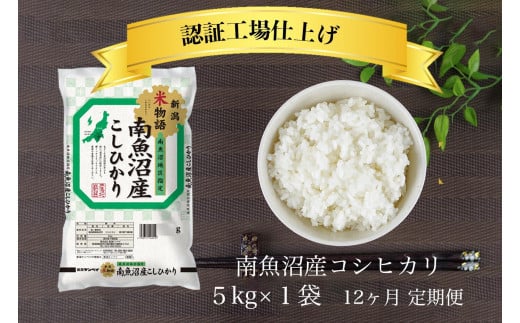 【定期便】令和6年産 南魚沼産コシヒカリ 5kg 12ヶ月連続【南魚沼 こしひかり コシヒカリ お米 こめ 白米 食品 人気 おすすめ 新潟県 南魚沼市 AT115-NT 】 443955 - 新潟県南魚沼市