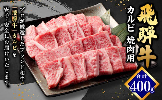 飛騨牛 カルビ 焼肉用 400g | 肉のかた山 牛肉 M16S31 729263 - 岐阜県美濃加茂市