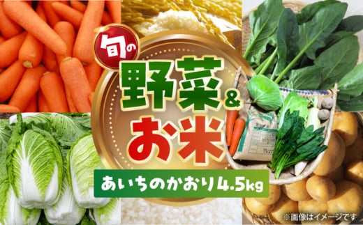 愛西市産 あいちのかおり4.5kgと旬の季節野菜詰め合わせ 精米 お米 野菜 愛西市／お米の三輪 [AECM002]