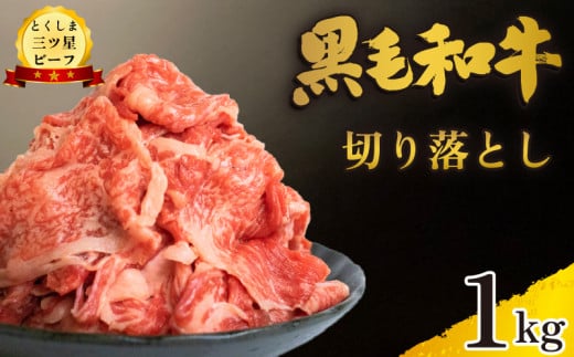 牛肉 切り落とし 1kg 和牛 黒毛和牛 国産 牛肉 牛 うし 肉 にく ビーフ 三つ星ビーフ すき焼き すきやき しゃぶしゃぶ 焼肉 やきにく カレー 牛丼 BBQ アウトドア キャンプ おかず おつまみ 弁当 惣菜 日用 冷凍 小分け お取り寄せ グルメ 送料無料 徳島県 阿波市 肉の藤原 1555382 - 徳島県阿波市