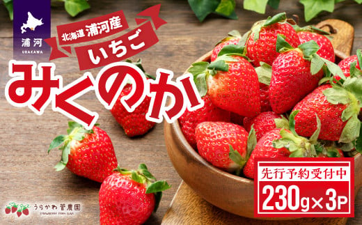 [先行予約受付中]北海道浦河産いちご「みくのか」230g×3P[13-1430]