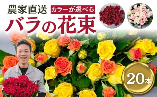 【おまかせ/ラッピング有】バラ 花束 20本  花 薔薇  生花 愛知県 田原市