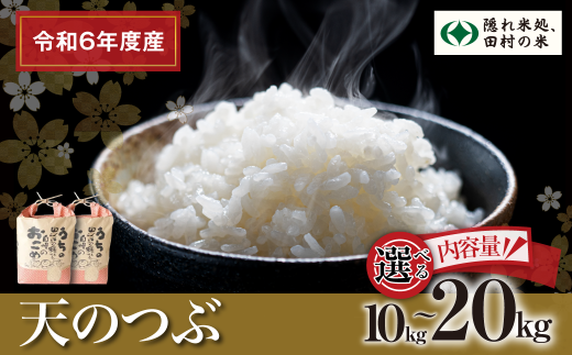 [令和6年産]選べる内容量 田村産 天のつぶ 10〜20kg お米 一等米 白米 精米したてを発送 贈答 米 コメ ご飯 特A 単一米 精米 生活応援 福島県 田村市 ふぁせるたむら