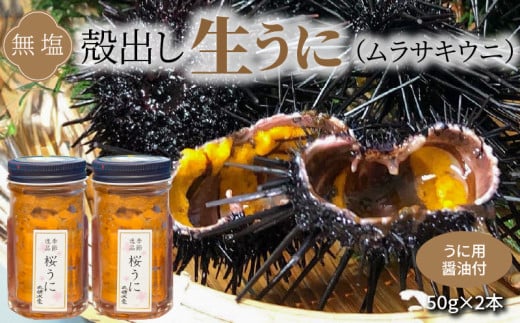 S002-022_殻出し生うに（ムラサキウニ）50g×2本 うに用醤油付【先行受付】 1056663 - 熊本県天草市