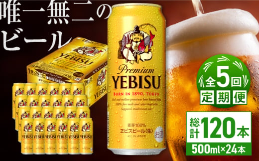 【全5回定期便】サッポロ ヱビスビール 500ml×24缶　合計120缶 日田市 / 株式会社綾部商店 [ARDC059] 1555638 - 大分県日田市