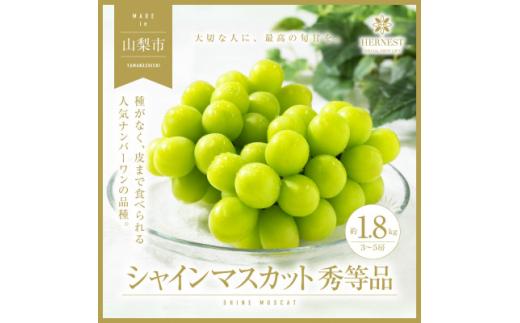 2025年先行受付山梨市産 旬の採れたてフルーツ シャインマスカット秀等品 約1.8kg 3～5房【1134846】 338293 - 山梨県山梨市