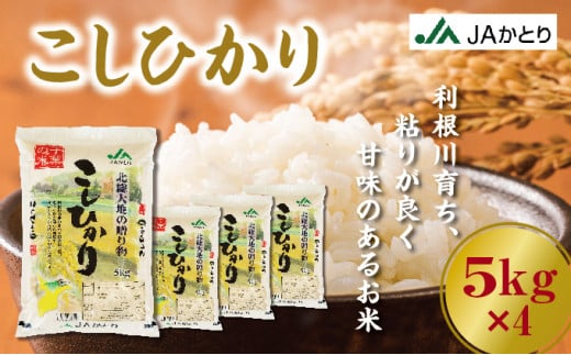 令和6年産 新米 コシヒカリ精米5ｋｇ×4入【千葉県神崎町産】[001-a005] 1504062 - 千葉県神崎町