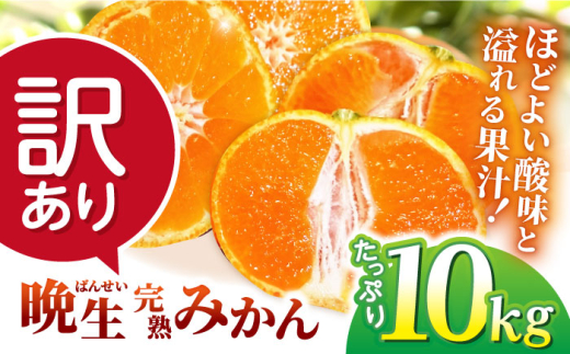 【訳あり】晩生完熟みかん10kg（ご自宅用） 長崎県/大将農園 [42AOAA023]　みかん 柑橘 オレンジ 果物 フルーツ ミカン 旬 くだもの 長崎 ながさき 長崎県 訳アリ 1554590 - 長崎県長崎県庁