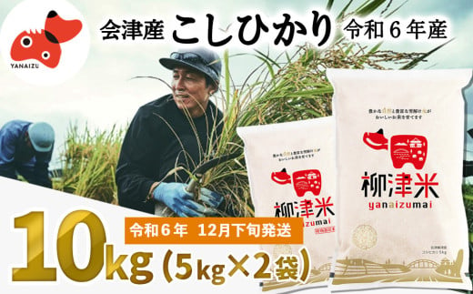 ＜令和6年産＞福島県柳津町産「こしひかり」10kg〈12月下旬発送予定〉【1560635】