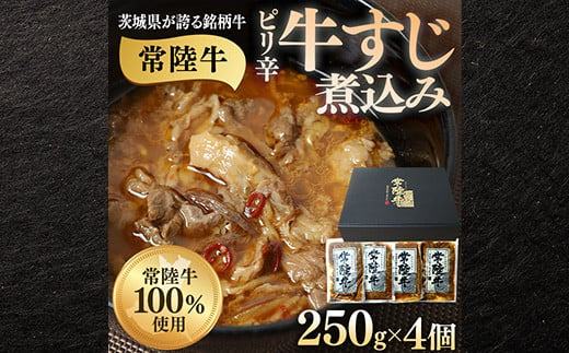 牛すじ煮込み 1kg 250g×4個 ピリ辛 茨城県産 ブランド牛 常陸牛 使用 523 1555453 - 茨城県茨城町