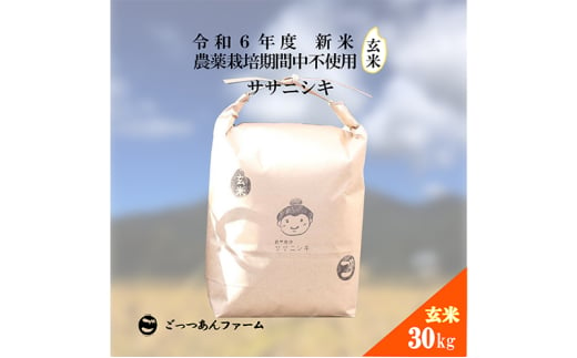 令和6年度産 新米 【どすこい米】自然栽培 ササニシキ 玄米 30kg [№5771-1375]