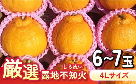 厳選 露地 不知火 希少4Lサイズ 6～7玉入り（約3kg）（通称：でこぽん） 長崎県/大将農園 [42AOAA029] 1554596 - 長崎県長崎県庁