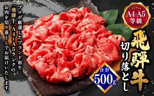 飛騨牛 A4 A5 等級 切り落とし 500g | 肉のかた山 牛肉 M11S66 727913 - 岐阜県美濃加茂市