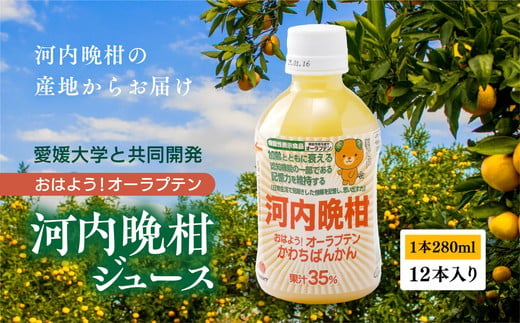 おはよう！オーラプテン河内晩柑ジュース（280ml×12本） ｜ 280ml 河内晩柑 愛南ゴールド 美生柑 みかん 機能性表示食品 オーラプテン 柑橘 飲料 中高年 記憶 衰え 認知 ジュース 健康 美容 クエン酸 はちみつ グレープフルーツ  伊方町 愛媛県 愛南町 伊方サービス株式会社 1555567 - 愛媛県伊方町