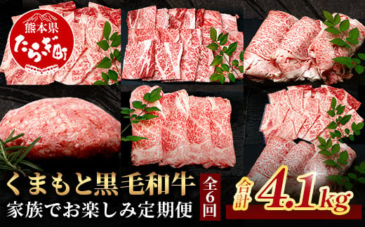 【定期便6回】くまもと黒毛和牛 家族でお楽しみ定期便 《 ロース すき焼き 焼肉 赤身 ハンバーグ10個 》【合計4.1kg】黒毛 和牛 焼き肉 すスキヤキ 焼き肉 上質 ブランド牛 国産 牛肉 冷凍 熊本県 113-0523