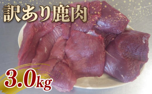 訳アリ 鹿肉 3kg ジビエ 鹿肉 鹿 モモ肉 背ロース カレー シチュー 煮込み料理 食べやすい 美味しい 安全 新鮮 冷凍 訳あり 京都府