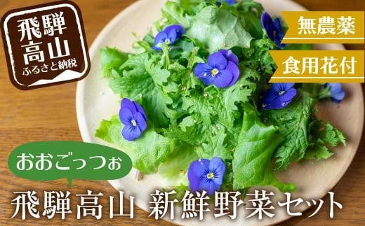 【12月配送】飛騨高山野菜『おおごっつぉ』詰合せ 葉物野菜 葉物 ミックスリーフ わさびな フラワーサラダ 無農薬野菜 無農薬 発送時期が選べる HS001VC12 1555071 - 岐阜県高山市