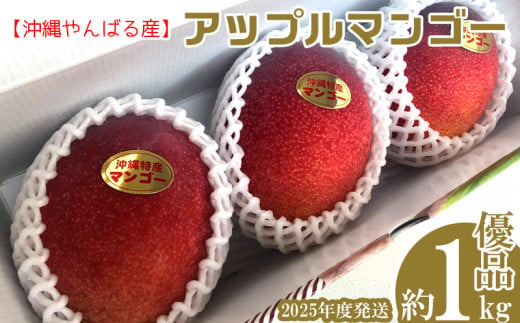 2025年発送【沖縄やんばる産】約1kg　優品アップルマンゴー（Ms mango farm） 南国 南国フルーツ 先行予約 期間限定 沖縄 甘味 糖度 フルーツ 果物 果実 プレゼント ギフト トロピカル 数量限定 予約 おすすめ くだもの 太陽 やんばる 自然 809406 - 沖縄県名護市