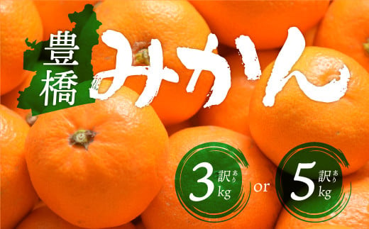 豊橋みかん 訳あり 3kg ~ 5kg 選べる容量
