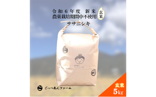 令和6年度産 新米 【どすこい米】自然栽培 ササニシキ 玄米 5kg [№5771-1377]