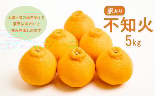 先行予約 訳あり 減農薬 不知火 5kg 10000円 サイズミックス サイズ混合 不揃い 柑橘 かんきつ 蜜柑 愛媛 みかん 温州 みかん しらぬい 清見 オレンジ ポンカン デコポン mikan 国産 こくさん 果物 くだもの フルーツ デザート ジュース 果実 甘い ジューシー おいしい 濃厚 産地 直送 産直 特産品 愛媛県 愛南町 愛南フルーツ