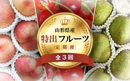 《2025年先行予約》 山形県 至高のフルーツ！ 山形県特出フルーツ定期便 全3回 FSY-2017 1550224 - 山形県山形県庁