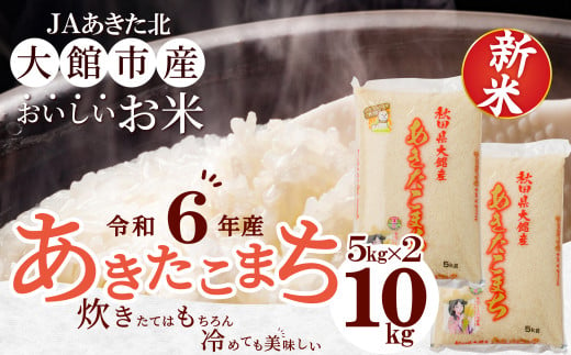 【令和6年産】秋田県大館産あきたこまち10kg(5kg×2) 140P9005 1263012 - 秋田県大館市