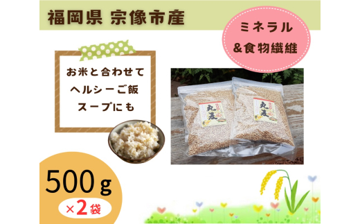 丸麦 1kg(500g×2袋)【アグリCATS】_HA1611 1557289 - 福岡県宗像市