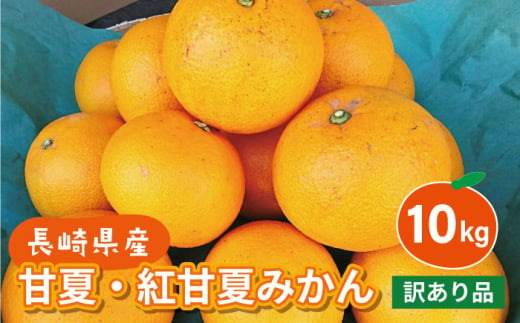 【訳あり】長崎県産 甘夏・紅甘夏みかん 10kg 長崎県/大将農園 [42AOAA026]みかん 柑橘 オレンジ 果物 フルーツ ミカン 旬 くだもの 長崎 ながさき 長崎県 訳アリ 甘夏 あまなつ 1554593 - 長崎県長崎県庁