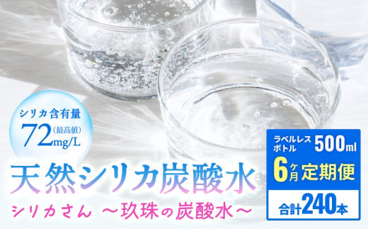 [６ヶ月 定期便]天然シリカ炭酸水 シリカさん～玖珠の炭酸水～　500ml × 40本 1555204 - 大分県玖珠町